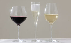Wine tasting glass shape