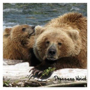 Alaska Bears Dracaena Wines