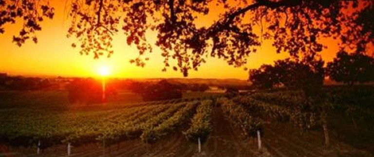 An Invitation to Explore the Pasobilities of Paso Robles with #WinePW