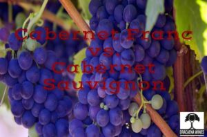 Difference Between Cabernet Franc and Cabernet Sauvignon