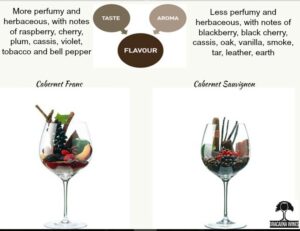 Difference Between Cabernet Franc and Cabernet Sauvignon