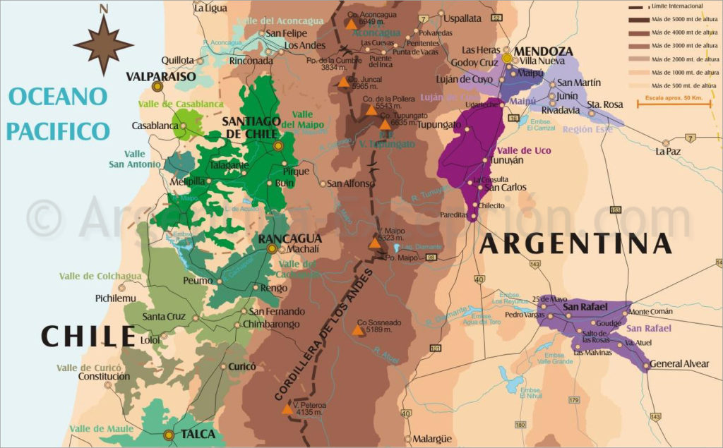 Don't Cry For Me Argentina • Dracaena Wines