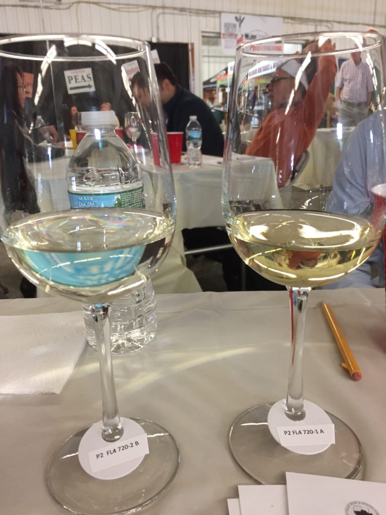 Hudson Valley Wine competition