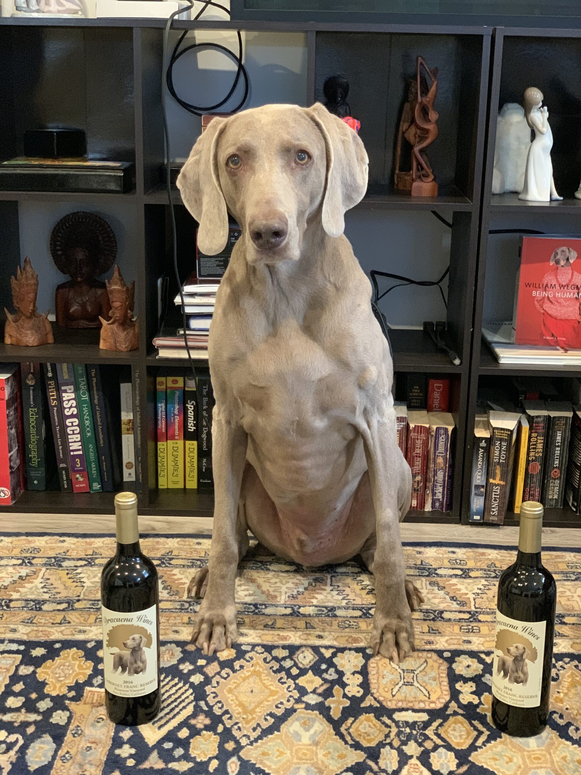 Banksy Weim with Reserve