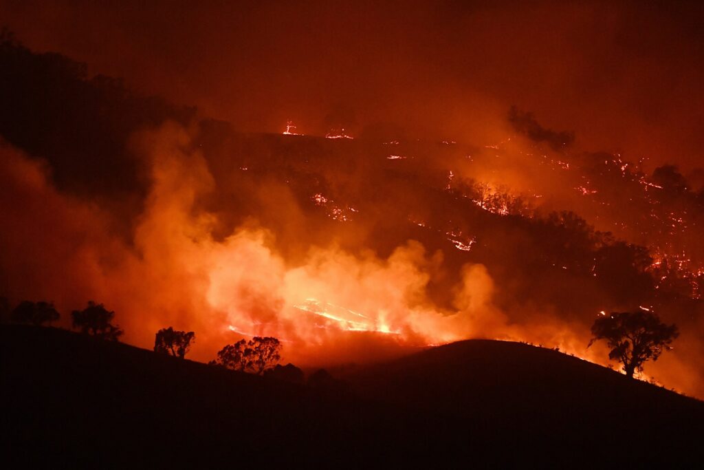 Australian fires