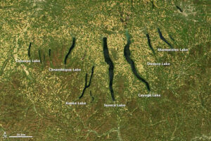 satellite view of Finger Lakes