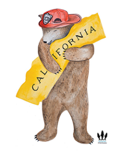 calfire bear