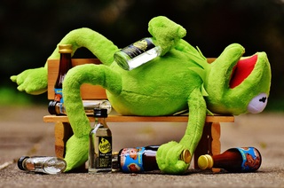 kermit the frog drunk