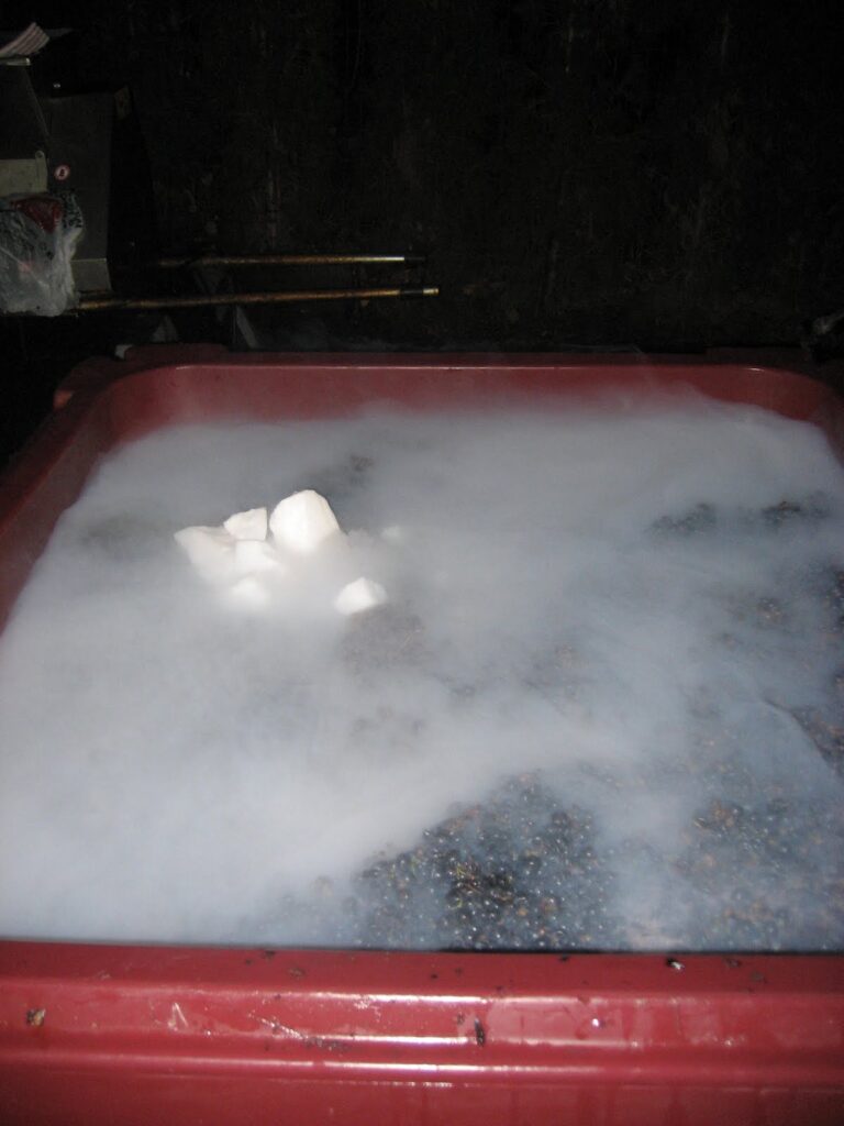 grape must with dry ice on it