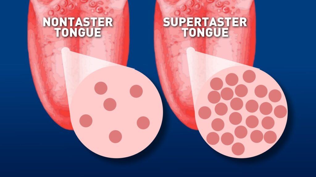 showing difference between taster and supertaster due to taste buds