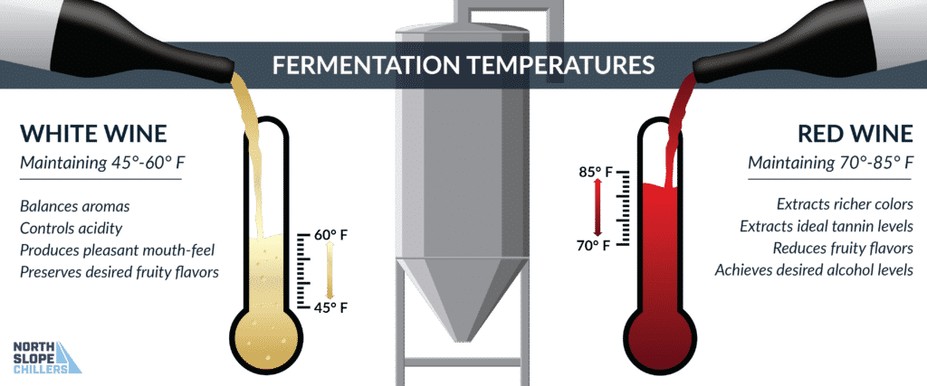 diagram demonstrating the temperatures at which red wine and white wine ferment