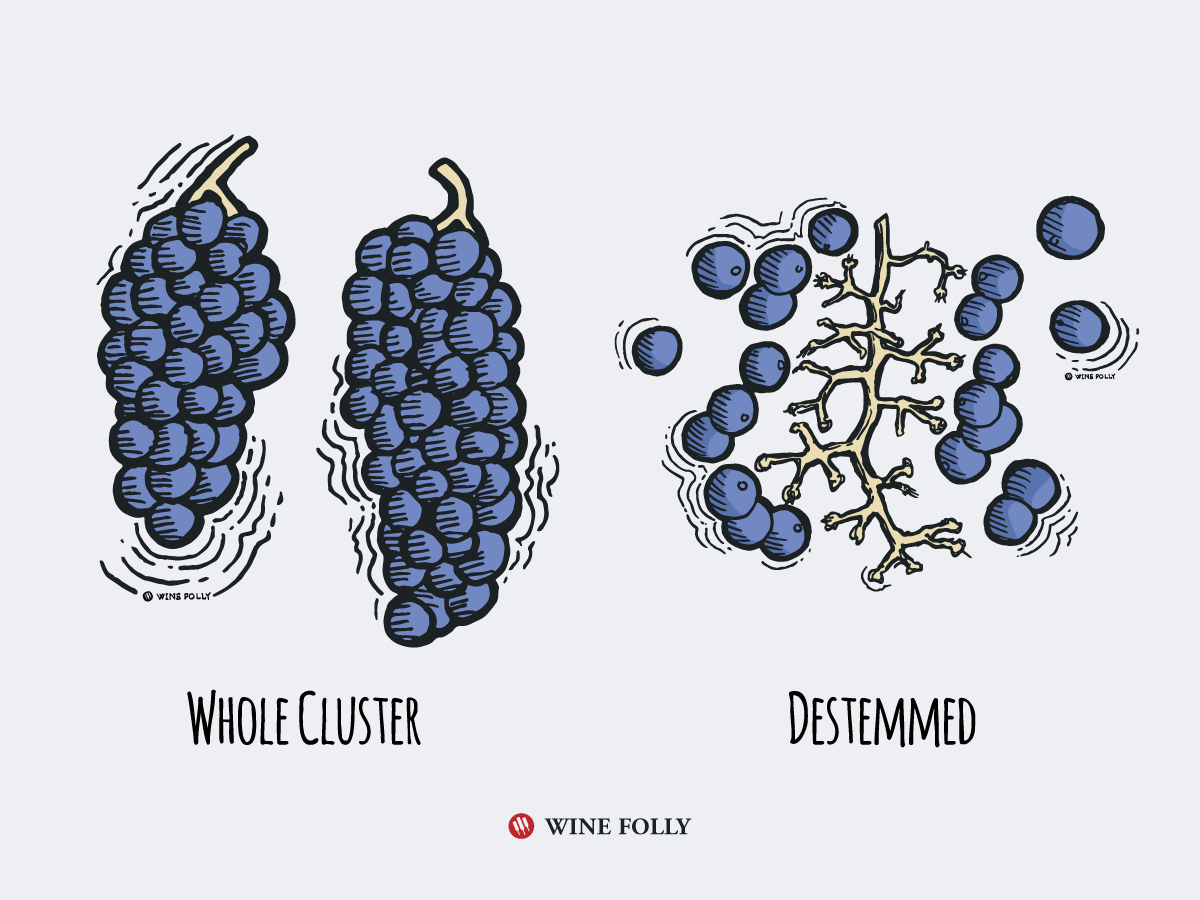 difference between whole cluster and de-stemmed