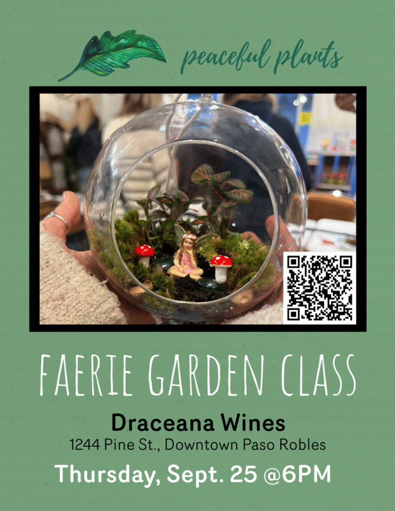 Fairie Garden Class